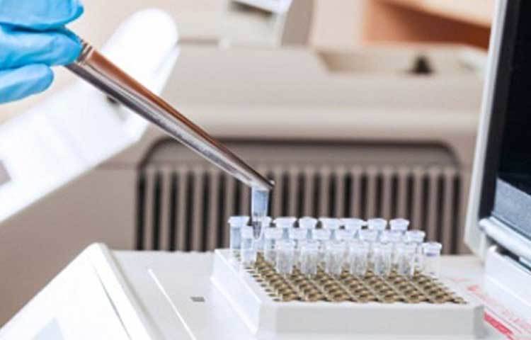 কোভিড-১৯ ভাইরাসের জেনেটিক কপিকে ডাক্তারি ভাষায় প্রাইমার বলা হয়ে থাকে।