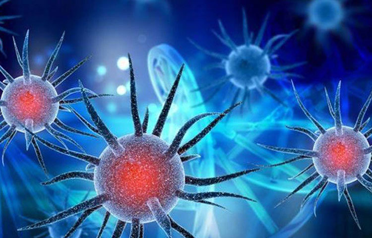 কিন্তু কোন জায়গায় এই ভাইরাস কতদিন বাঁচে বা সেই পৃষ্ঠদেশের সংস্পর্শে কোনো আক্রান্ত রোগী এলে, কতদিন পর্যন্ত সেই পৃষ্ঠদেশ থেকে সাবধানতা অবলম্বন করা উচিত?