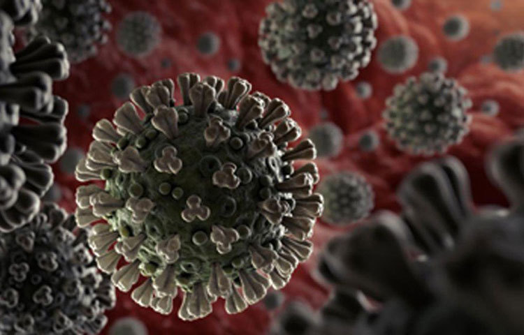 এই দুই করোনার নামই বিশ্বের সঙ্গে দুইভাবে জড়িয়ে রয়েছে। এক করোনা বিশ্বের কাছে এখন ত্রাস। আর দ্বিতীয় করোনা একটা ছোট্ট গ্রাম।