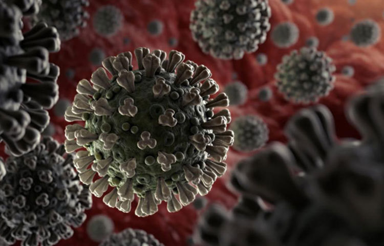 কিন্তু তা-ও সচেতনতার অভাবে বা অসতর্কতায় ছড়াতে পারে করোনাভাইরাসের সংক্রমণ! মোবাইল, ঘড়ি, চশমা বা বাজারের ব্যাগ থেকেও ছড়াতে পারে করোনার সংক্রমণ! কীভাবে রুখবেন এই সংক্রমণ।