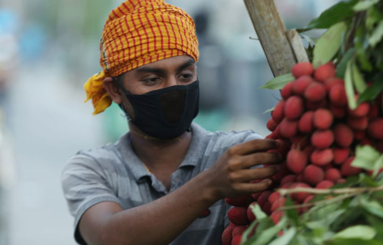 লিচু বিক্রিতে ব্যস্ত এই যুবক। ছবি: মাহবুব আলম