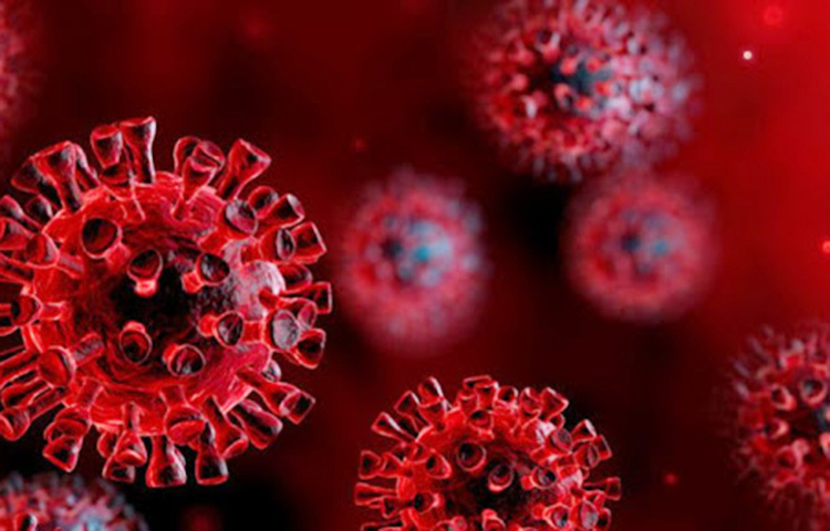 করোনার অন্যতম উপসর্গ স্বাদ ও গন্ধ না পাওয়া। বিশেষত যাদের উপসর্গ গুরুতর পর্যায়ে পৌঁছায়নি, তাদের মধ্যে স্বাদ-গন্ধহীনতা দেখা যায়। কিন্তু অনেক ক্ষেত্রেই দেখা যাচ্ছে করোনামুক্ত হওয়ার পরেও এই উপসর্গ থেকে যাচ্ছে। চিকিৎসকদের অনুমান, মূলত নার্ভাস সিস্টেমের উপর প্রভাব ফেলছে করোনা তাই এই সমস্যা হচ্ছে। যদিও এই নিয়ে গবেষণা এখনও চলছে। ছবি: সংগৃহীত