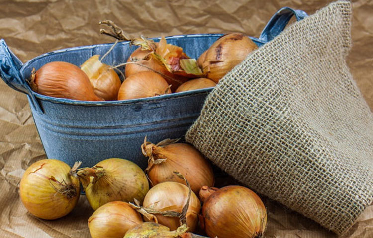 বাজারের ব্যাগটিকেও সাবান পানিতে ভালো করে ধুয়ে রোদে শুকোতে দিতে হবে। এই সময় পলিথিনের ব্যাগ না ব্যবহার করাই ভালো। কারণ, পলিথিনের ব্যাগে দীর্ঘক্ষণ জীবিত থাকতে পারে করোনাভাইরাস।