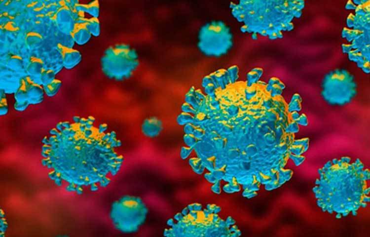 তবে জেনে রাখা ভালো, জড় পদার্থের উপর এই ভাইরাস খুব বেশি সময় সক্রিয় থাকে না। কয়েক ঘণ্টার জন্য সক্রিয় থাকে মাত্র। তাই অহেতুক আতঙ্কিত হওয়ার দরকার নেই।