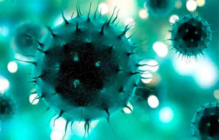 প্রায় দুই মাস ধরে এখন বিশ্ব কাঁপাচ্ছে করোনাভাইরাস। এরই মধ্যে সারাবিশ্বে ৮,৯৭০ জন রোগী মারা গেছেন।