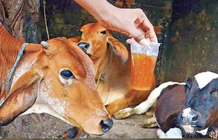 মিরাকল মিনারেল সলুউশন, গোমূত্র এগুলোর কোনোটাতেই এই ভাইরাস মোকাবিলার ক্ষমতা নেই। অথচ অনলাইনে মিরাকল মিনারেল সলুউশন বা রাস্তাঘাটে গোমূত্র কেনার হিড়িক পড়েছিল। এটা উল্টে ক্ষতিকরই।