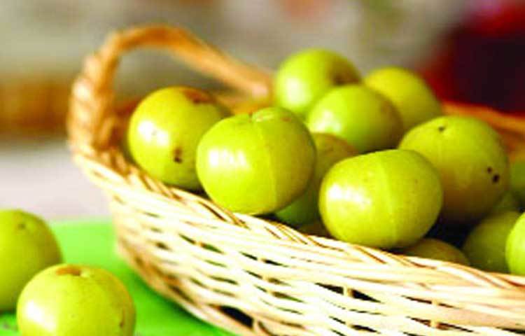 এই সময়ে সর্দি-কাশি হলে যা করবেন: বাইরে থেকে বাড়ি গিয়ে গোসল করাটাও কাজের কথা নয়। সারাদিন হালকা গরম পানি খান। গলায় ব্যথা বা সর্দি-কাশির সম্ভাবনা দেখা দিলে তো এই রুটিন চালু করতেই হবে। সেই সঙ্গে জোর দিন ভিটামিন সি খাওয়ার উপরেও। লেবু, আমলকী, পেয়ারায় প্রচুর ভিটামিন সি মিলবে।