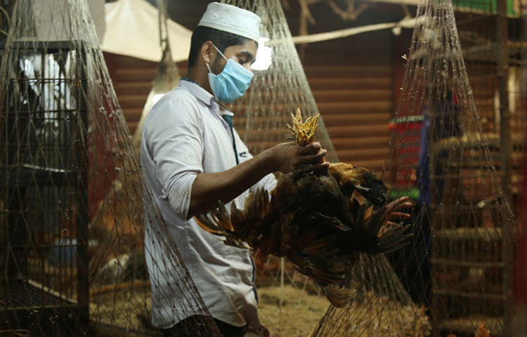 বিক্রি হচ্ছে মুরগি। ছবি: মাহবুব আলম
