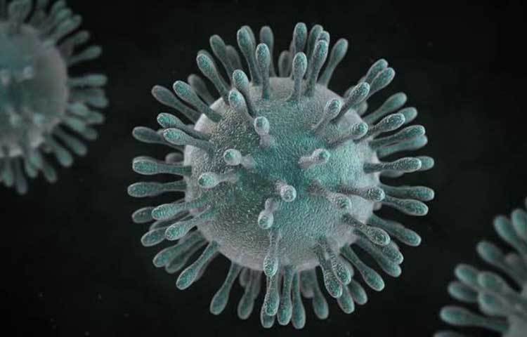 এই ভাইরাস প্রতিরোধে গবেষকরা কিছু ওষুধ পরামর্শ করেছেন। তিনদিন খালি পেটে আর্সেনিক অ্যালবাম৩০ খেতে হবে। সরবত দিনে দু’বার ১০-২০ মিলিলিটার খেতে হবে।