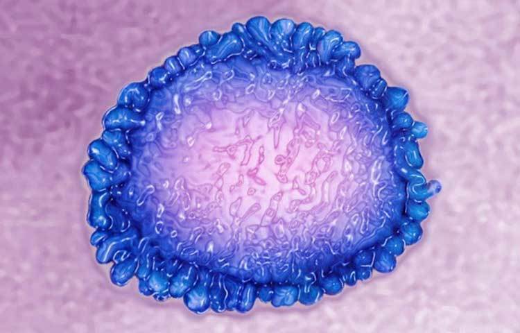 প্রতিদিন ৪-৮ ফোটা আজিদ আরোক জলে মিশিয়ে খান। দিনে দুবার দুটি করে কুর্স-এ-সুয়েল ট্যাবলেট খেতে হবে।