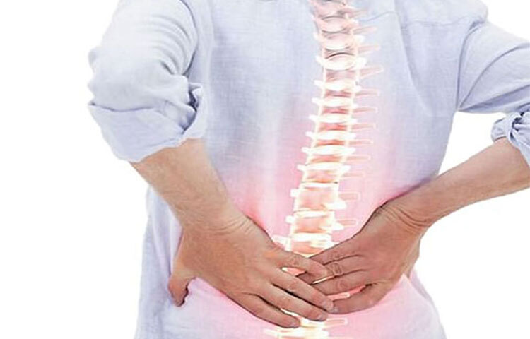 শুধু ভিটামিন নয়, কচুশাকে রয়েছে ক্যালসিয়াম, ম্যাগনেসিয়াম, ম্যাংগানিজ ও ফসফরাস। এই সবকটি উপাদান আমাদের শরীরের দাঁত ও হাড়ের ক্ষয় প্রতিরোধ করার পাশাপাশি গঠনেও সাহায্য করে। ছবি: সংগৃহীত