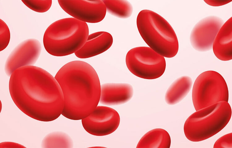 আমাদের শরীরে রক্তের পরিমাণ কমে গেলে ডাক্তার কচুশাক খাওয়ার পরামর্শ দেন কারণ কচু আয়রনের ভালো উৎস। তাই কচুশাক খেলে রক্তে হিমোগ্লোবিনের মাত্রা বেড়ে যায়। ছবি: সংগৃহীত