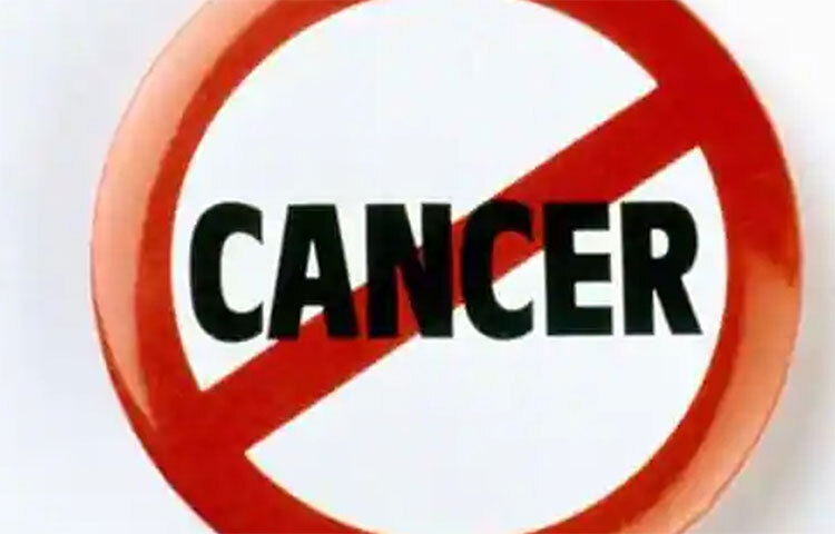 কচুশাকে একাধিক পরিমাণ ভিটামিন ও খনিজ থাকায় শরীরের বিভিন্ন রোগ প্রতিরোধে সহায়ক। এমনকি নিয়মিত কচুশাক খেলে ব্রেস্ট ক্যান্সারের ঝুঁকি কমে যায়। ছবি: সংগৃহীত