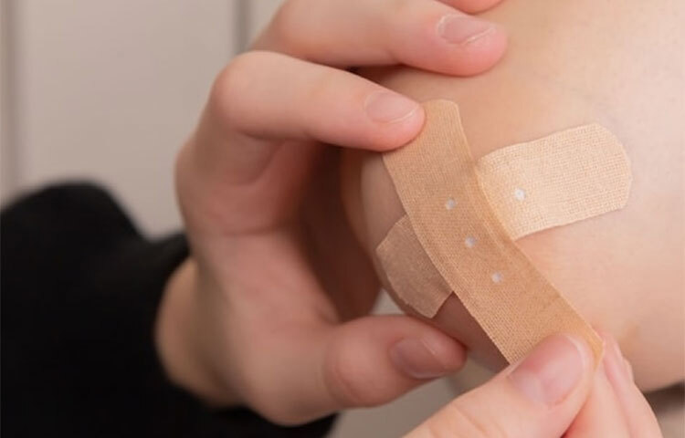 ভিটামিন ‘সি’ ত্বকের ক্ষত সারাতে কার্যকারী। এই কারণেই ডাক্তার শিশুদের কচুশাক খাওয়ানোর পরামর্শ দেন। ছবি: সংগৃহীত