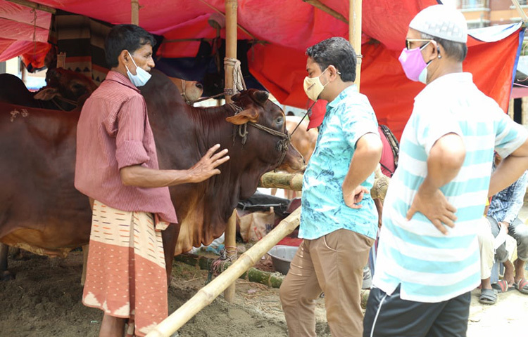 গত শনিবার থেকে রাজধানীতে পশুরহাট শুরু হলেও প্রত্যাশিত পরিমাণে বিক্রি করতে পারেননি বিক্রেতারা। পরের দিনও গেছে একই হালে। তবে আজ বিক্রি কিছুটা বাড়তে শুরু করেছে। ক্রেতাদের আগমনে জমজমাট হচ্ছে পশুরহাট। ছবি: মাহবুব আলম