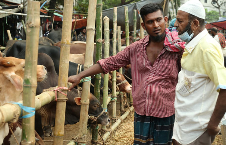 আজ সকাল থেকে রাজধানীর মেরুল বাড্ডার আফতাবনগর হাটে ক্রেতা-বিক্রেতাদের সঙ্গে কথা বলে জানা গেছে, ঈদের মাঝে আর একদিন বাকি থাকায় এখন যেসব ক্রেতা আসছেন, তারা অধিকাংশই পশু কিনে ঘরে ফিরছেন। এ কারণে আজ সকাল থেকে বিক্রি বেড়েছে। ছবি: মাহবুব আলম