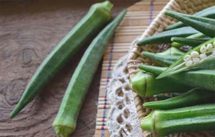 কিন্তু ঢ্যাঁড়শ খাওয়ার পরে মুলা খাওয়া উচিত নয়। কারণ ভেজিটেবল বা যেকোনো ধরনের খাবারের সঙ্গে মুলা খেলে এড়িয়ে চলা প্রয়োজন। ঢ্যাঁড়শ খাওয়ার সঙ্গে করলার রস খাবেন না। এর ফলে পেটে গ্যাস ও বদহজমের সমস্যা হতে পারে। ছবি: সংগৃহীত