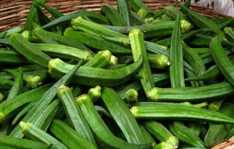 পেটের কষ্ট থেকে মুক্তি দেয় ঢেঁড়শ। ঢেঁড়শে ফাইবার থাকে তা পাচন কার্যে সহায়তা করে। ছবি: সংগৃহীত