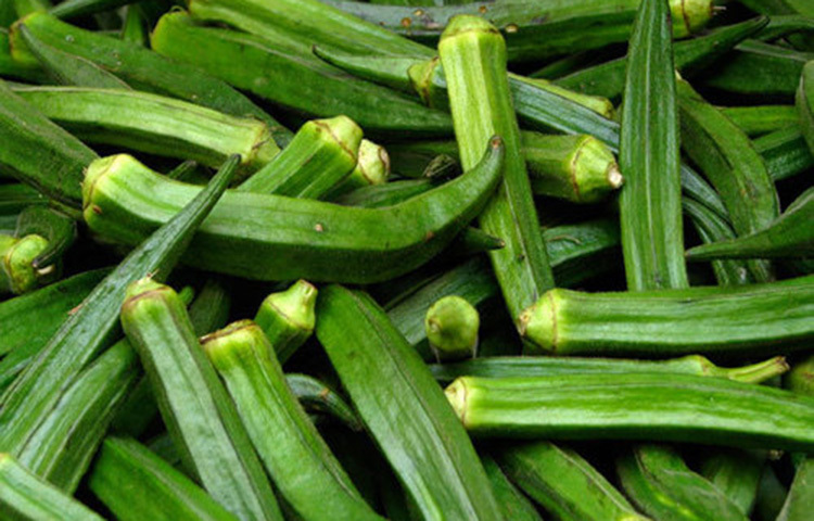 ভিটামিন এ চোখের জ্যোতি বৃদ্ধি করে। চোখের বিভিন্ন রোগ সারাতেও সাহায্য করে। ছবি: সংগৃহীত