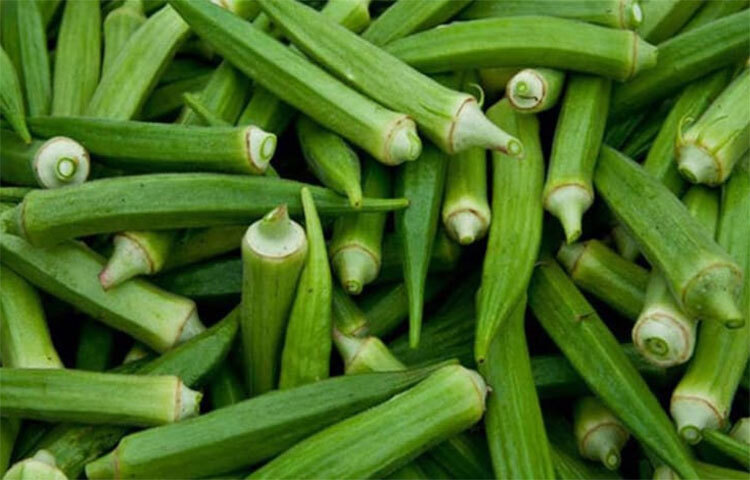 ঢ্যাঁড়শ ফাইবার, ভিটামিন বি৬, বিটা-ক্যারোটিন, লুটেইন এবং ফোলেটসহ বিভিন্ন পুষ্টি সমৃদ্ধ সবজি। ভিটামিন বি ডায়াবেটিক নিউরোপ্যাথির আক্রমণ প্রতিহত করতে সাহায্য করে এবং হোমোসিস্টেইনের মাত্রা কমায়। গবেষণায় দেখা গিয়েছে, হোমোসিস্টেইন রক্তে শর্করা বৃদ্ধির অন্যতম কারণ। এই সবজিতে থাকা দ্রবণীয় ফাইবার শর্করার মাত্রাকে স্থিতিশীল করতেও সাহায্য করে। তাছাড়া ঢ্যাঁড়শে রয়েছে প্রচুর পরিমাণ অ্যান্টিঅক্সিড্যান্ট। ছবি: সংগৃহীত