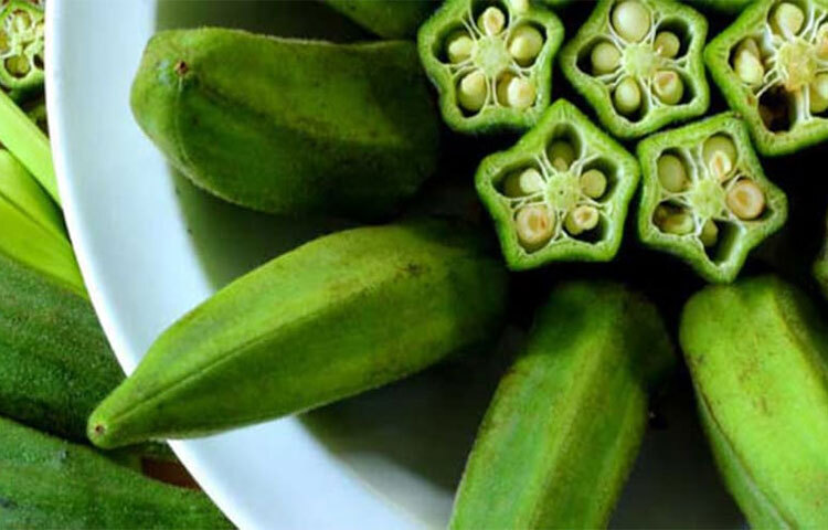 ঢ্যাঁড়শে দ্রবণীয় এবং অদ্রবণীয় দুই ধরনের ফাইবারই থাকে। ফাইবার পাচন প্রক্রিয়ার গতিবেগ কমায়। ফলে খাবার খাওয়ার পর ধীরে ধীরে রক্তে শর্করার পরিমাণ বাড়ে। ছবি: সংগৃহীত