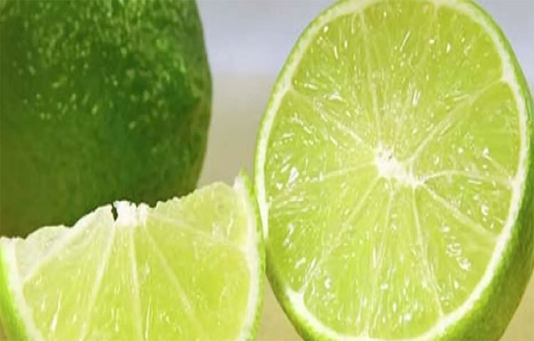 শরীরে প্রবিষ্ট অনেক ক্ষতিকর ব্যাকটিরিয়াকে ধ্বংস করতে পারে লেবুতে থাকা ভিটামিন সি। পেট খারাপ কিংবা ডায়েরিয়া প্রতিরোধে তাই পাতিলেবুর রস কাজে দেয়। এতে উপস্থিত সাইট্রিক অ্যাসিড হজমশক্তিও বাড়ায়। পেট খারাপ হলে লেবু খেতে নেই, এটি ভ্রান্ত ধারণা। ছবি: সংগৃহীত