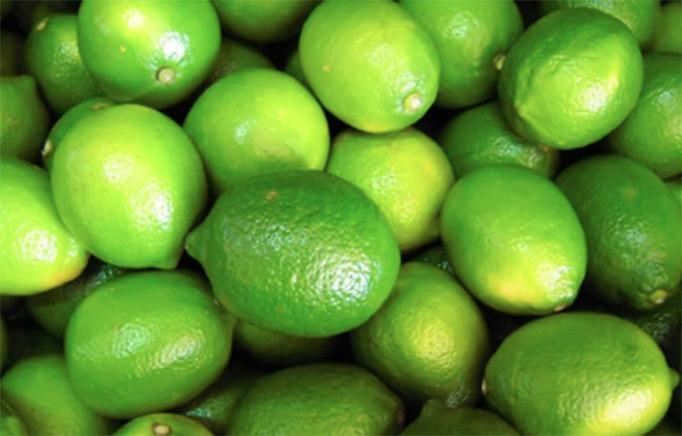 যেকোনো ধরনের খাবার খাওয়ার পর এক টুকরো গুড় খেয়ে নিলে, তা আপনার হজমে সাহায্য করে। পাশাপাশিই গুড় শ্বাস-প্রশ্বাস এবং পাচনতন্ত্র পরিষ্কার করার জন্য একটি গুরুত্বপূর্ণ উপাদান। তাই সুস্থতার জন্য গুড় আর লেবু মিশিয়ে খাওয়ার অভ্যাস করুন।