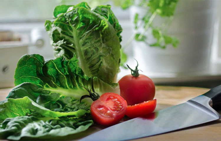 লেটুস পাতা আমরা সবাই প্রায় চিনি। ইতিহাসবিদরা অনেকে বলেন, এই সবুজ পাতাটির চাষ প্রথম মিশরীয়রা শুরু করেছিল। তারা এই পাতাটি শাক হিসেবে চাষ করতেন। এমনকি এই পাতার বীজ থেকে তেলও বের করা হত। যদিও পরে এই লেটুস পাতার চাষ গ্রীক ও রোমানরা শুরু করে।