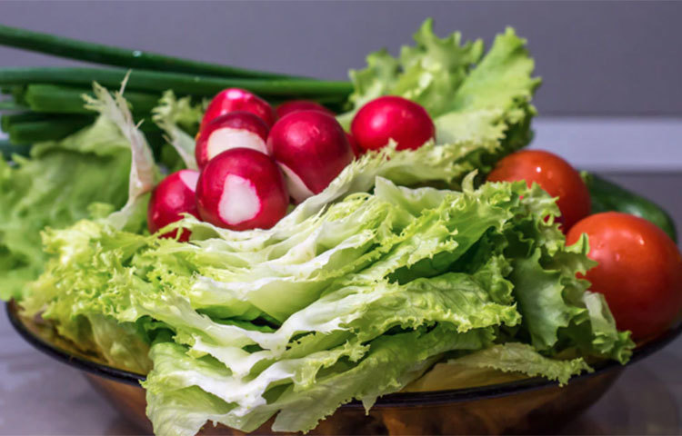 লেটুস পাতা