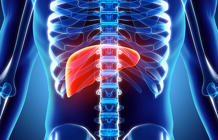 রসুনের মধ্যে রয়েছে অ্যান্টি-অক্সিডেন্ট। এটি শরীরকে অক্সিডেটিভ ক্ষতি থেকে রক্ষা করে এবং যেসব বিষাক্ত পদার্থ লিভারের ক্ষতি করে, সেগুলোকে বাইরে বের করে দিতে সাহায্য করে। ছবি: সংগৃহীত