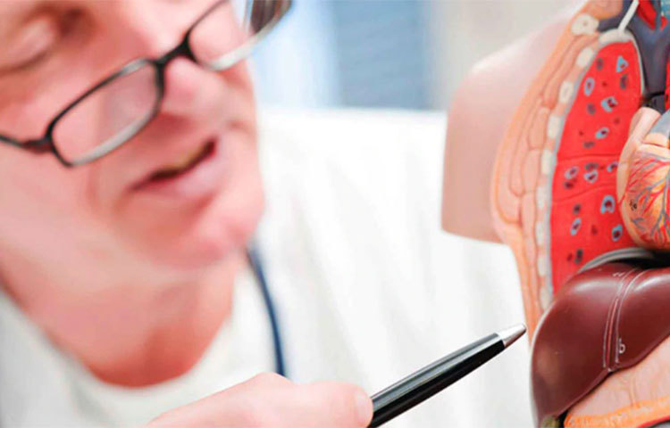 দেরি করে ঘুমোতে যাওয়া বা দেরি করে ঘুম থেকে ওঠা— দুটি অভ্যাসই শরীর ও লিভারের পক্ষে ক্ষতিকর। এই অভ্যাসের কারণে হজমের নানান সমস্যা দেখা দিতে পারে।