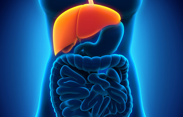 গাজরের মধ্যে রয়েছে অ্যান্টি-অক্সিডেন্ট। এ ছাড়া এর মধ্যে রয়েছে প্রয়োজনীয় ভিটামিন, মিনারেল ও ডায়াটারি আঁশ। এক গ্লাস গাজরের জুস ফ্যাটি অ্যাসিডকে দূর করতে সাহায্য করে এবং লিভার থেকে বিষাক্ত পদার্থ দূর করে। ছবি: সংগৃহীত