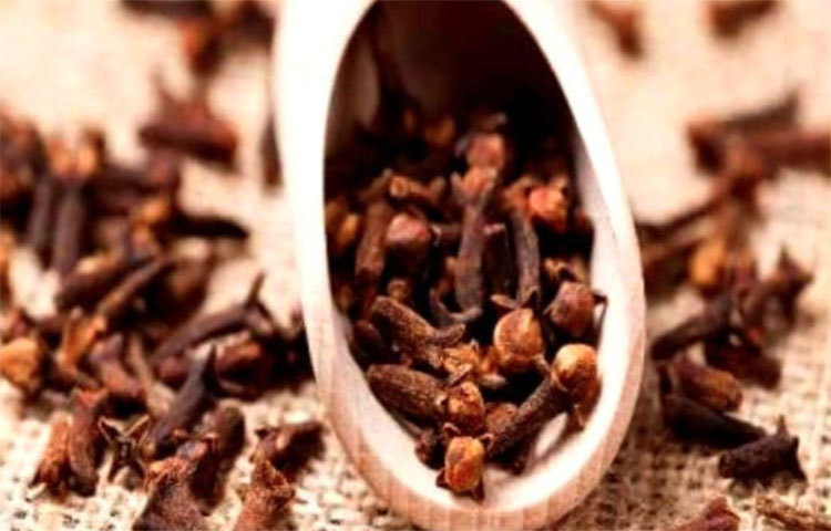 যাদের মুখে গন্ধের সমস্যা আছে, দাঁতে ব্যথা হয়, তাঁরাও লবঙ্গ খেতে পারেন নিয়মিত। তাতে এই সমস্যা দূর হবে।