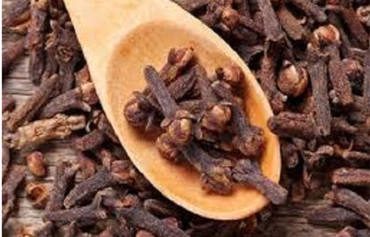 চিকিৎসকরা বলেন, যাদের হাড় দুর্বল তাদের জন্য লবঙ্গ বিশেষ উপকারী। লবঙ্গ খেলে হাড়ের জোর বাড়ে। এবং যাকে বলা হয়, হাড়ের সংযোগ বা জয়েন্ট, সেটিও শক্তিশালী হয়।