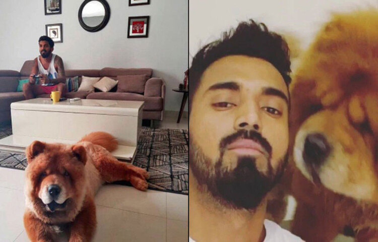 ব্যালকনি খুব পছন্দের জায়গা রাহুলের। ঘণ্টার পর ঘণ্টা এখানে বসেই অবসর সময় কাটান তিনি।