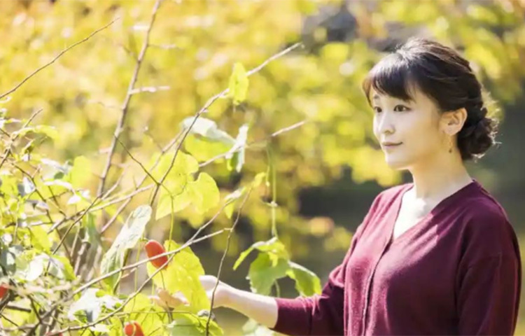 কোমুরোর সঙ্গে মাকোর প্রথম দেখা ২০১২ সালে। মাকো তখন রাজপরিবারের প্রথা ভেঙে টোকিওার ইন্টারন্যাশনাল ক্রিশ্চিয়ান বিশ্ববিদ্যালয়ে পড়তে যান। সেখানেই দু’জনের আলাপ। ছবি: সংগৃহীত