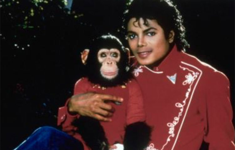 হোল্ড মাই হ্যান্ড: সাইকেল জ্যাকসনের মৃত্যুর পর ২০১০ সালে মুক্তি পায় তার গাওয়া এই যুগলবন্দি গানটি।