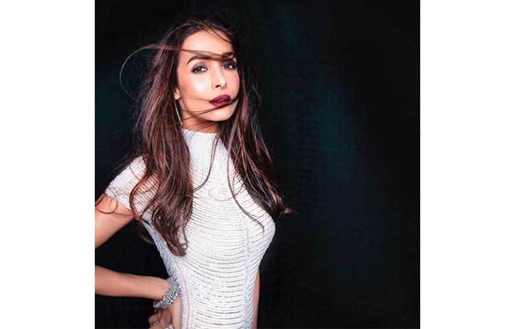 এই মালাইকাই কখনো শাহরুখ খানের বিপরীতে ছইয়া ছইয়া দিয়ে বলিউডের ডান্সিং নায়িকা হয়ে ওঠেন আবার কখনো সালমানের সঙ্গে মুন্নি বদনাম হুয়ির সেটে দর্শকদের নজর কেড়ে নেন।