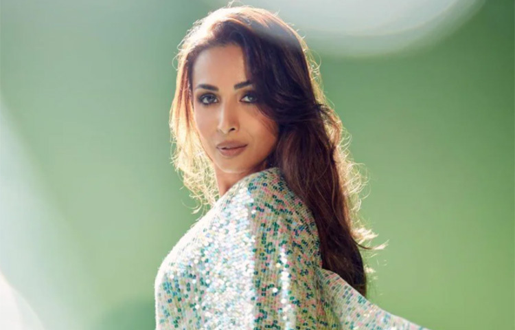 মনীশ মালহোত্রার তোলা ছবিতে বারবারে সোশ্যাল মিডিয়ায় আলোচনায় আসেন মালাইকা অরোরা। ছবি: সংগৃহীত