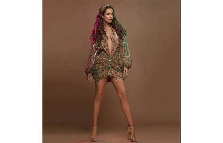 বলিউডে যখন তার সঙ্গে আইটেম নম্বরে প্রতিযোগিতা করার মতো নেই, সেই সময় মালাইকা মুখ খুললেন তার প্রথম জীবন নিয়ে।