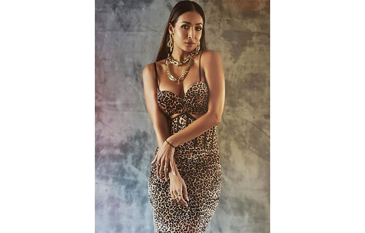 অ্যানিম্যাল প্রিন্ট পোশাকে লাস্য ও আকর্ষণের শেষ বিন্দুতে মালাইকা। ছবি: সংগৃহীত