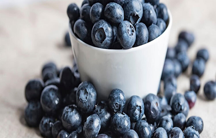 রোগ-প্রতিরোধক ক্ষমতা বাড়াতে ব্লুবেরির মতো আর ফল হয় না। এতে প্রচুর পরিমাণে ফাইবার এবং অ্যান্টি-অক্সিড্যান্ট রয়েছে। খিদে পেলে উল্টোপাল্টা খাবার খাওয়ার বদলে যদি কিছু স্বাস্থ্যকর বেছে নিতে চান, তা হলে অবশ্যই ব্লুবেরি রাখুন হাতের কাছে। এতে মস্তিষ্ক সচল রাখা এবং স্মৃতিশক্তি বাড়ানোর ক্ষমতাও রয়েছে। ছবি: সংগৃহীত
