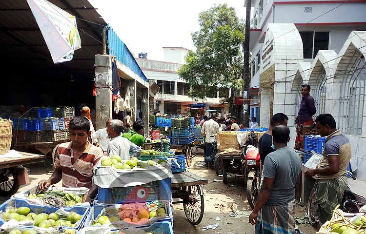 সাতক্ষীরার আম বাজারে ধস নেমেছে। মৌসুমের শুরুতে ঢাকাসহ বাইরের পাইকাররা বাজারে না আসায় আম পেড়ে বিপাকে পড়েছেন চাষিরা। সোমবার (১৭ মে) সকাল থেকে দুপুর পর্যন্ত বসে থাকার পরও ক্রেতার অভাবে তারা আম বিক্রি করতে পারেননি। ছবি: জাগো নিউজ