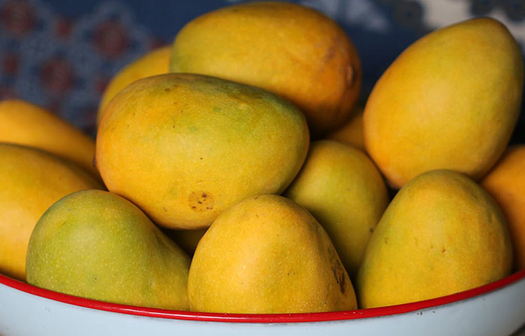 ভালো আমের জাত চেনা যায় তার সুবাসে। মিষ্টি ও সুস্বাদু আম চিনতে নিজের ঘ্রাণশক্তির উপর ভরসা রাখুন। তবে আমের প্রকারভেদে বদলে যায় সুবাস। কথায় বলে আমের বোঁটার কাছের অংশ থেকে যদি মিষ্টি সুগন্ধ বের হয়, তবে সেই আম সুস্বাদু। ছবি: সংগৃহীত