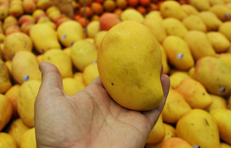 আমে আছে ভিটামিন, খনিজ আর অ্যান্টি-অক্সিডেন্ট। আমে থাকা ভিটামিন কে দ্রুত রক্তপাত বন্ধ করে রক্ত জমাট বাঁধতে সাহায্য করে। হলুদ রঙের আমে আছে প্রচুর আয়রন যা রক্তস্বল্পতা দূর করে। এছাড়া হাড় মজবুত করতেও সাহায্য করে আম। ছবি: সংগৃহীত