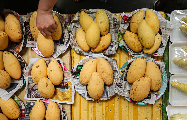 হজমের জন্য আম অনেক উপকারী। আম ফাইবার সমৃদ্ধ একটি ফল, যা অন্ত্রের স্বাস্থ্যের জন্য আদর্শ। তাই কোষ্ঠকাঠিন্যে ভুগলে সেই সমস্যা দূর করতে আম খাদ্যতালিকায় রাখা যেতে পারে। আমের মধ্যে থাকা অ্যামাইলেজ যৌগ শর্করা জাতীয় খাবার দ্রুত হজমে সাহায্য করে। ছবি: সংগৃহীত