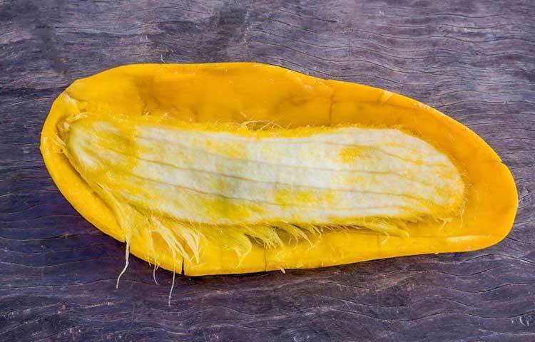 আম খাওয়ার সময় কিছু সচেতনতাও অবলম্বন করতে হবে। খেয়াল রাখুন, আমে লেগে থাকা আঠা যেন কোনোভাবে মুখে লেগে না যায়। এ থেকে মুখে চুলকানি, জ্বালা হতে পারে। বেশ কয়েকদিন এর দাগও থেকে যায়। তাই আম খাওয়ার সময়ে এই আঠা যাতে না লাগে সেদিকে নজর দিতে হবে।