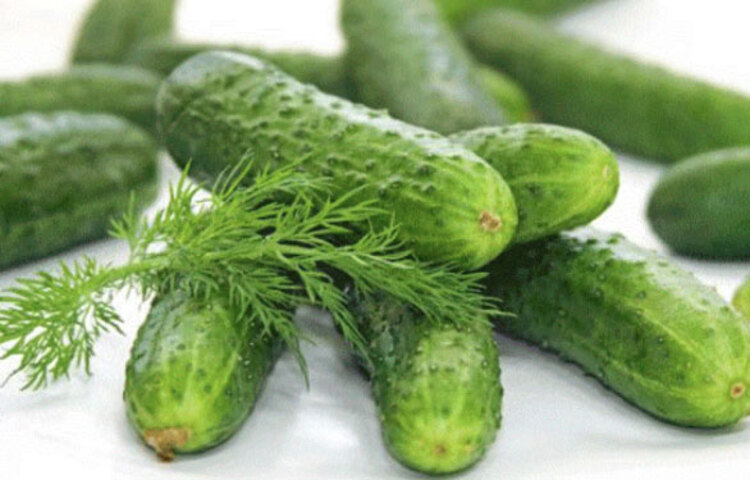 শশা ব্যবহার করা যেতে পারে শসা ত্বককে ঠান্ডা রাখতে সাহায্য করে। ত্বক নরম করে। শশার রস সরাসরি ক্ষতস্থানে লাগানো যেতে পারে। তা না হলে, শশার রস বরফের সঙ্গে লাগালেও উপশম মিলবে। এ ছাড়াও শসার বিভিন্ন প্যাক বা টোনার লাগালেও উপশম মিলতে পারে।