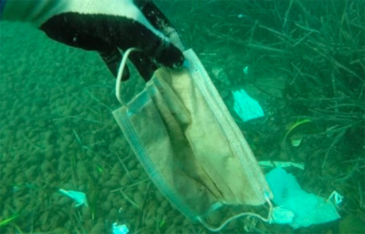 প্লাস্টিকের কবল থেকে প্রকৃতিকে বাঁচাতে লড়াই করছে বহু সংগঠন। এমন কী বহু দেশের সরকারও প্লাস্টিকের খারাপ দিক নিয়ে সচেতনতা অভিযান চালাচ্ছে বছরের পর বছর ধরে। তার মধ্যে মানুষ নতুন করে সমুদ্র ও পরিবেশ দূষণ শুরু করেছে।