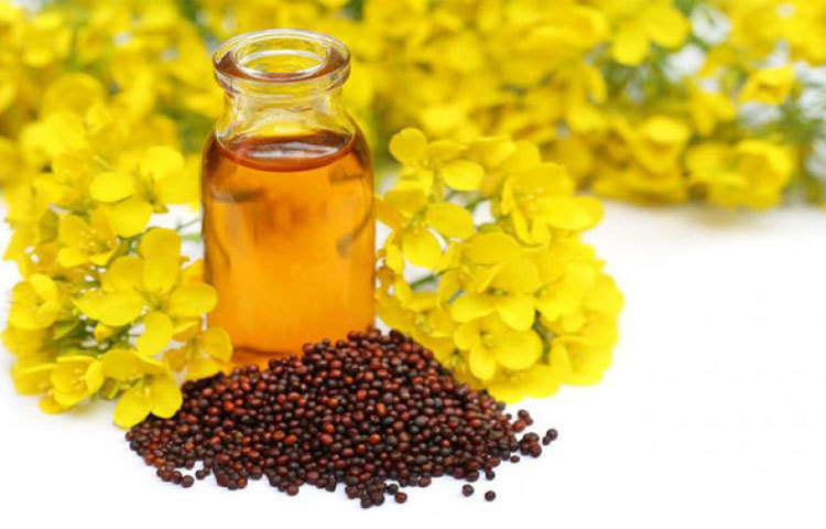 সরিষার তেলে রয়েছে অ্যান্টিব্যাকটিরিয়াল গুণ। ফলে, শরীরে ব্যাকটিরিয়া সংক্রমণ প্রতিরোধ করে। বিশেষ করে, কোলন, ডাইজেস্টিভ সিস্টেম এবং ইউরিনারি ট্র্যাক্ট ইনফেকশন থেকে দূরে রাখে। সরিষার তেলে রয়েছে অ্যান্টিব্যাকটিরিয়াল গুণ। ফলে, শরীরে ব্যাকটিরিয়া সংক্রমণ প্রতিরোধ করে। বিশেষ করে, কোলন, ডাইজেস্টিভ সিস্টেম এবং ইউরিনারি ট্র্যাক্ট ইনফেকশন থেকে দূরে রাখে।